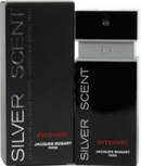 SILVER SCENT INTENSE MASC EDT 100ML